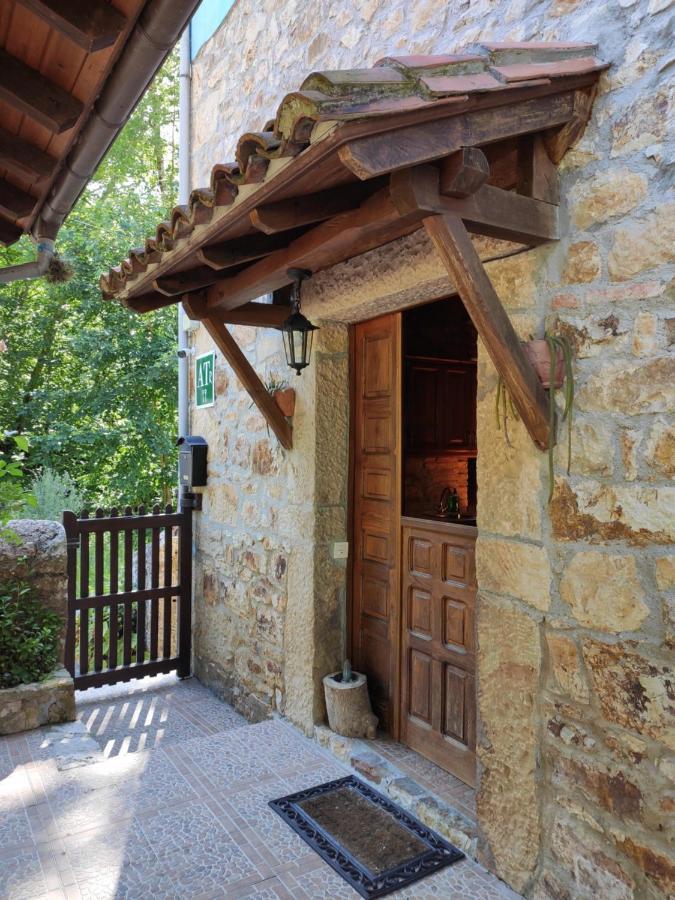 Apartamentos Rurales La Caviana Кангас-де-Онис Экстерьер фото